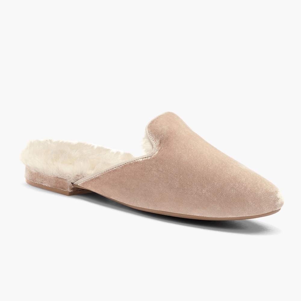 Birdies Slipper